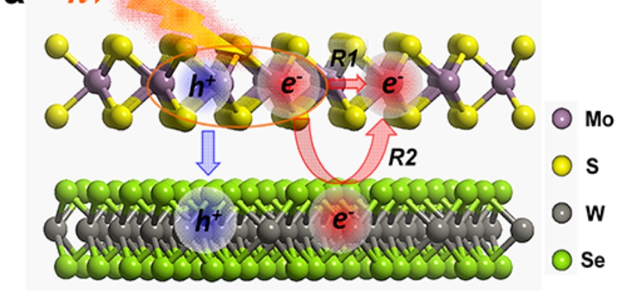 二维材料异质结